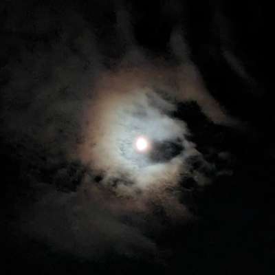 殺伐 Profile Picture