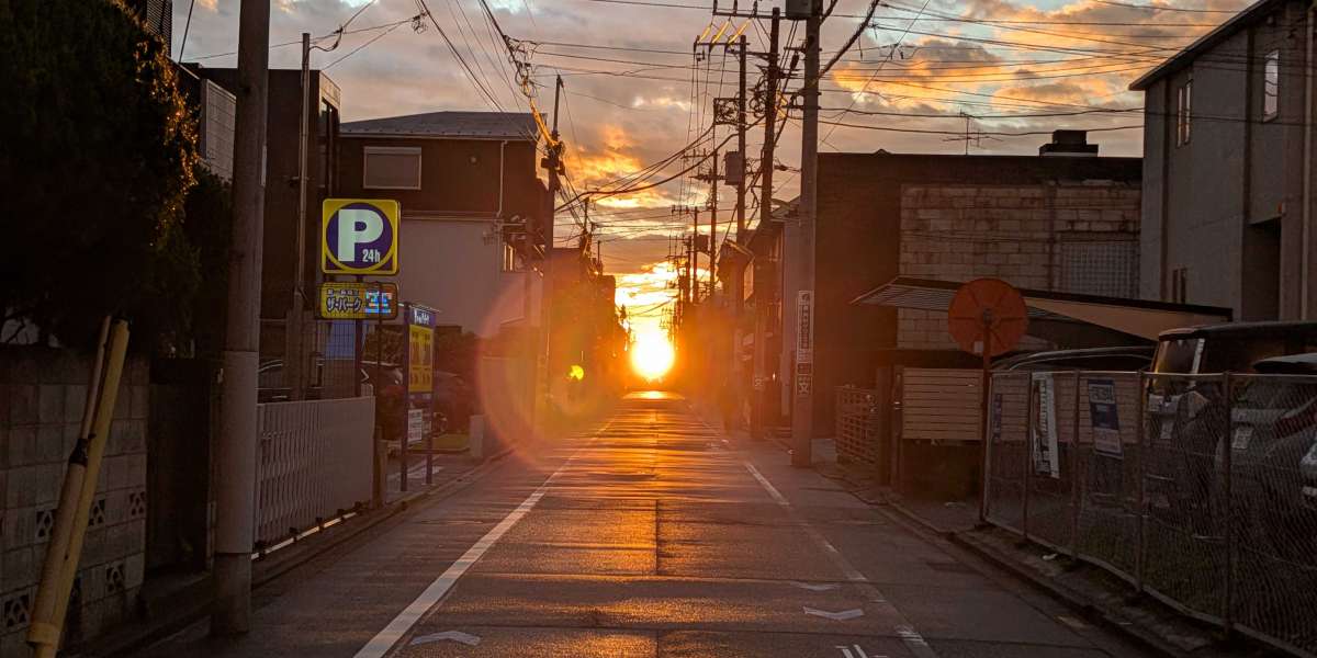 拙僧が愛する２０２１年有馬記念